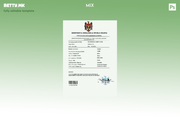 Модерен стил Молдавија шаблон за работна дозвола